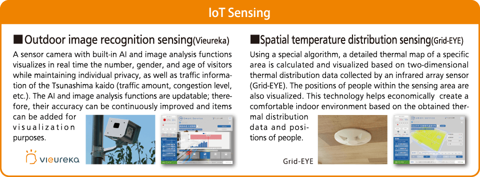 Town for Producing Smart Innovation